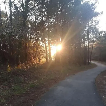 Vue Golf Dans Nature 