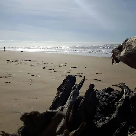 Vue Golf Dans Nature 