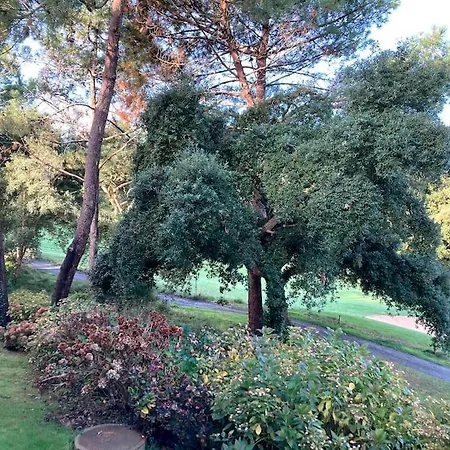 Apartment Vue Golf Dans Nature 