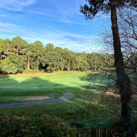 Vue Golf Dans Nature 