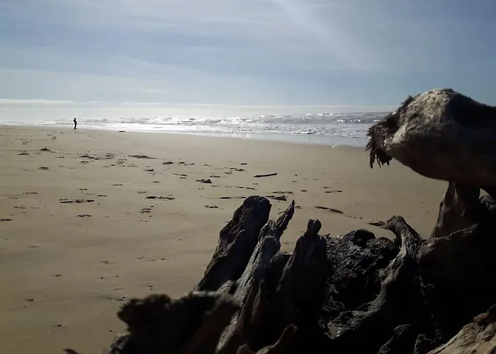 Vue Golf Dans Nature 